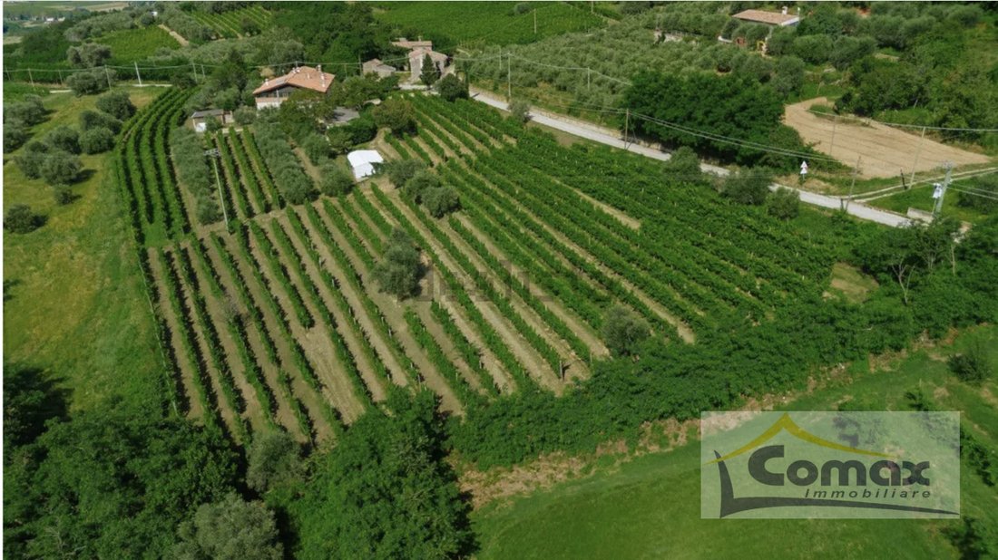 House in Cinto Euganeo, Veneto, Italy 5 - 16901815