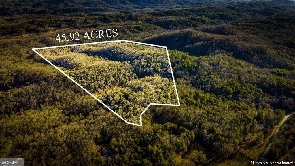 House in Mineral Bluff, Georgia, United States 2 - 16901281