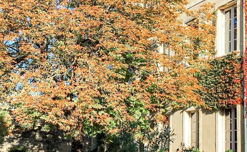 *The French Art Of Living In A 16th Century Château - 5