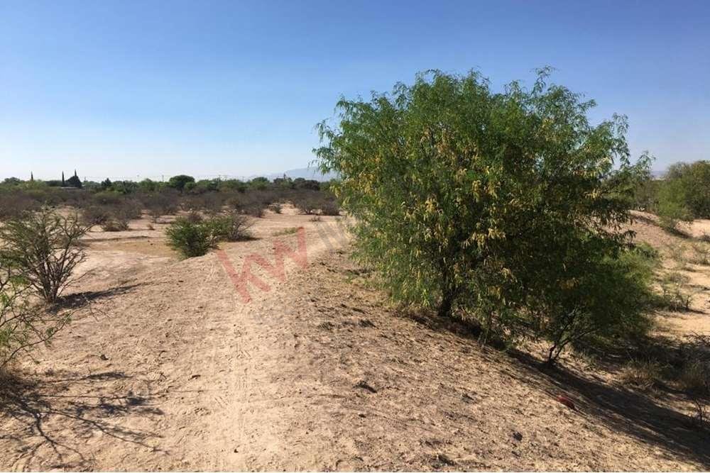 Land in Rinconada, San Luis Potosi, Mexico 4 - 16899417
