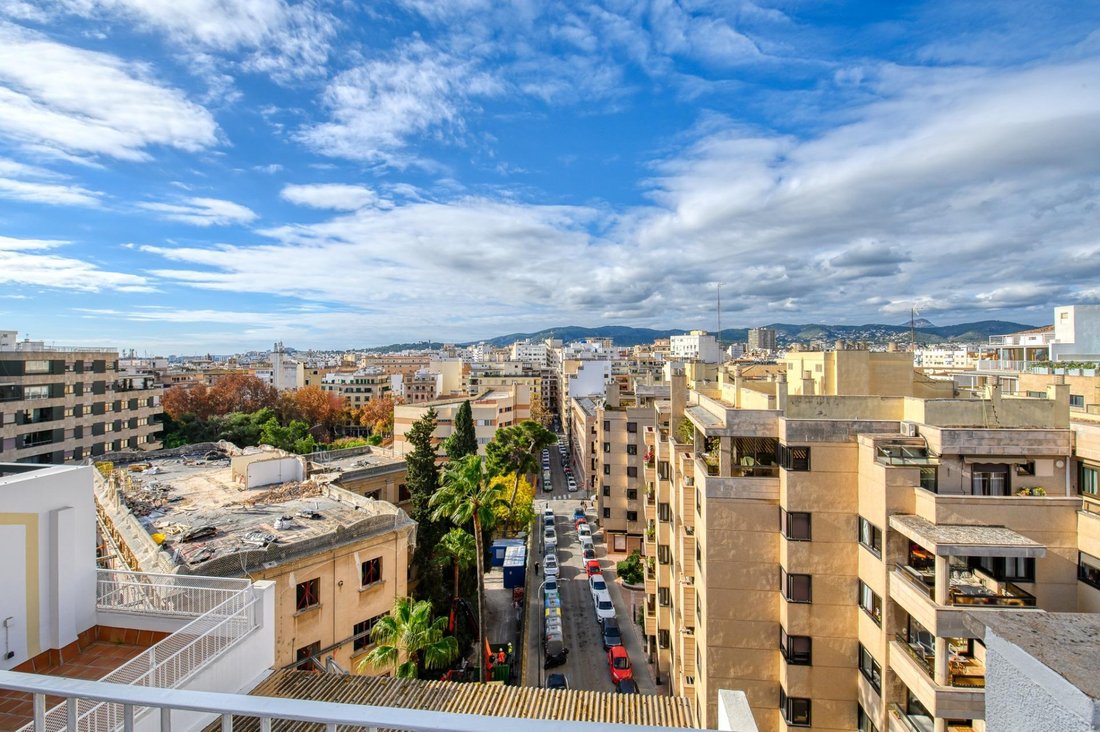 Apartment in Palma, Balearic Islands, Spain 3 - 16902859