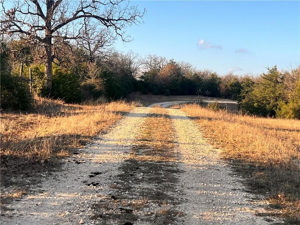Land in Marquez, Texas, United States 5 - 16901758