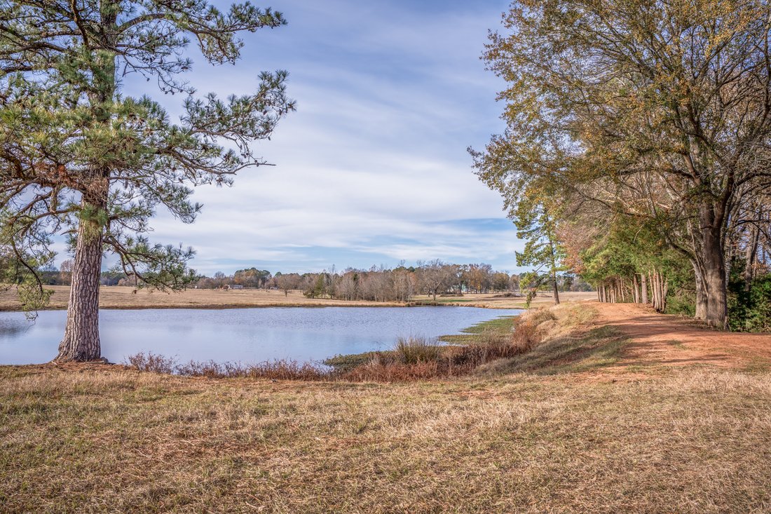Land in Jacksonville, Texas, United States 2 - 16899664
