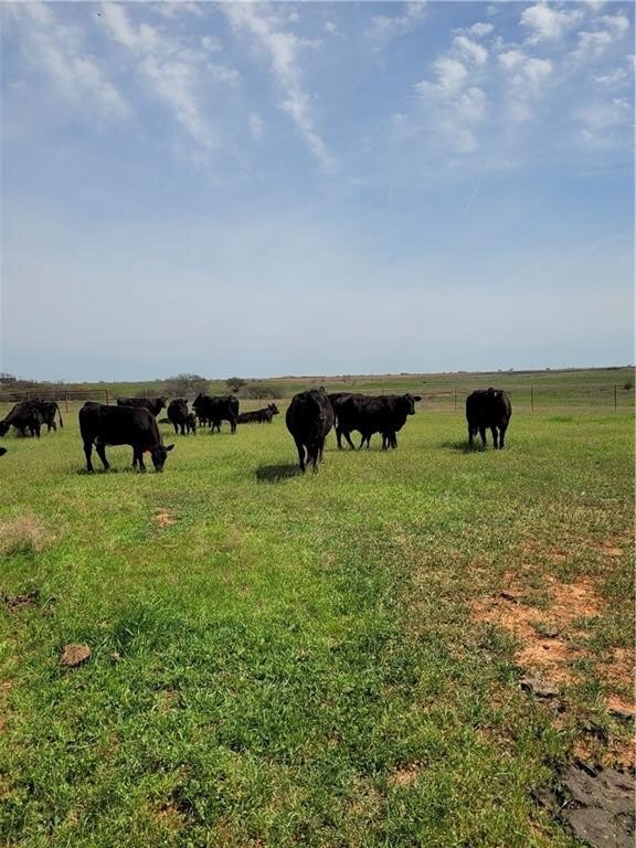 Farm Ranch in Grandfield, OK, United States 5 - 14310768