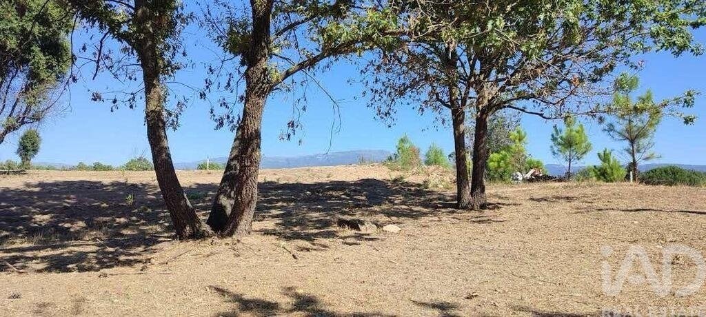 Azienda agricola a Sameice e Santa Eulalia, Distretto di Guarda, Portogallo 4 - 16904221