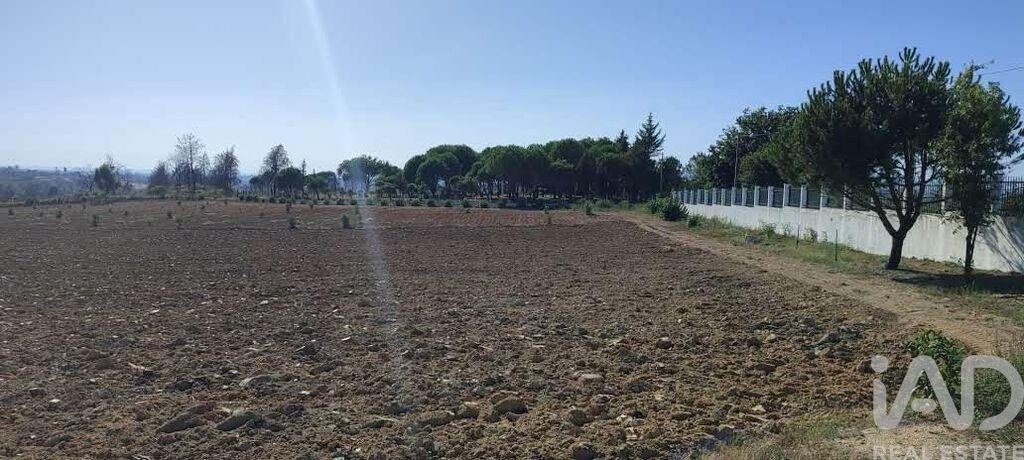 Azienda agricola a Sameice e Santa Eulalia, Distretto di Guarda, Portogallo 3 - 16904221