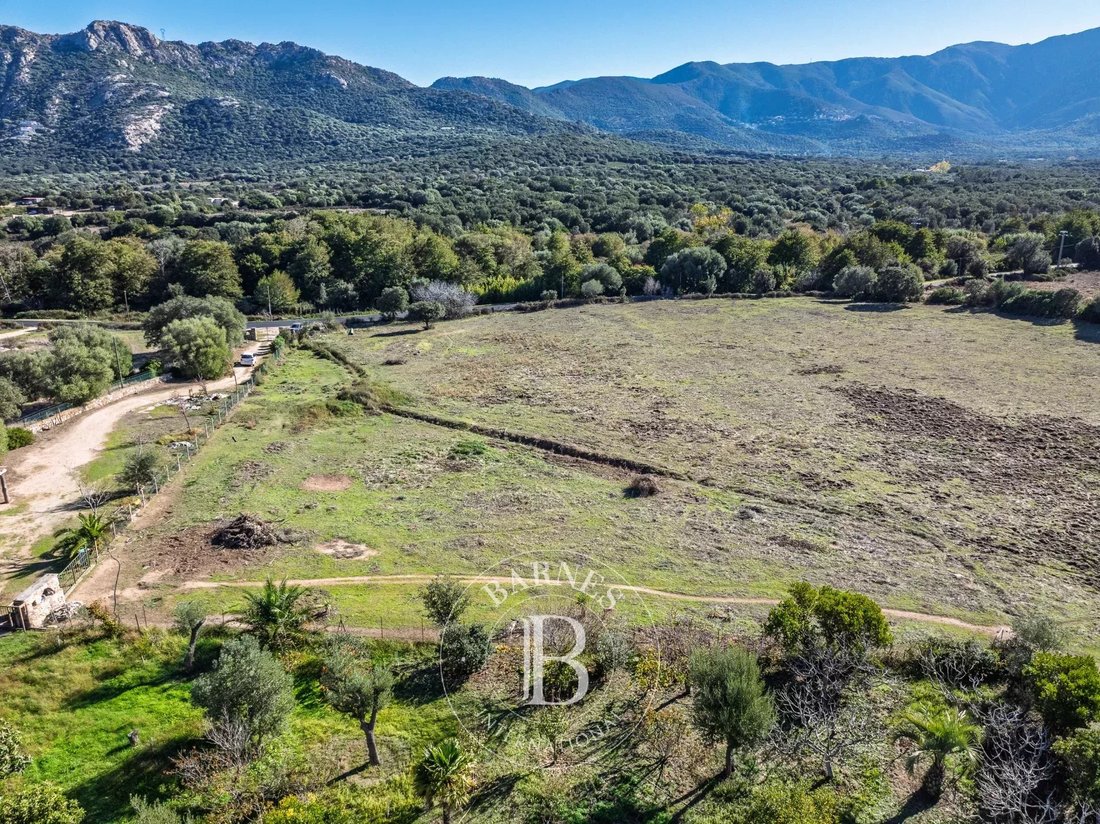 Land in L'Île-Rousse, Corsica, France 5 - 16898805