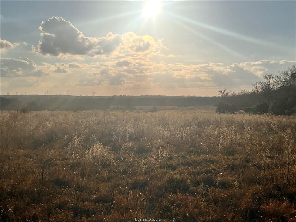 Land in Marquez, Texas, United States 3 - 16901758