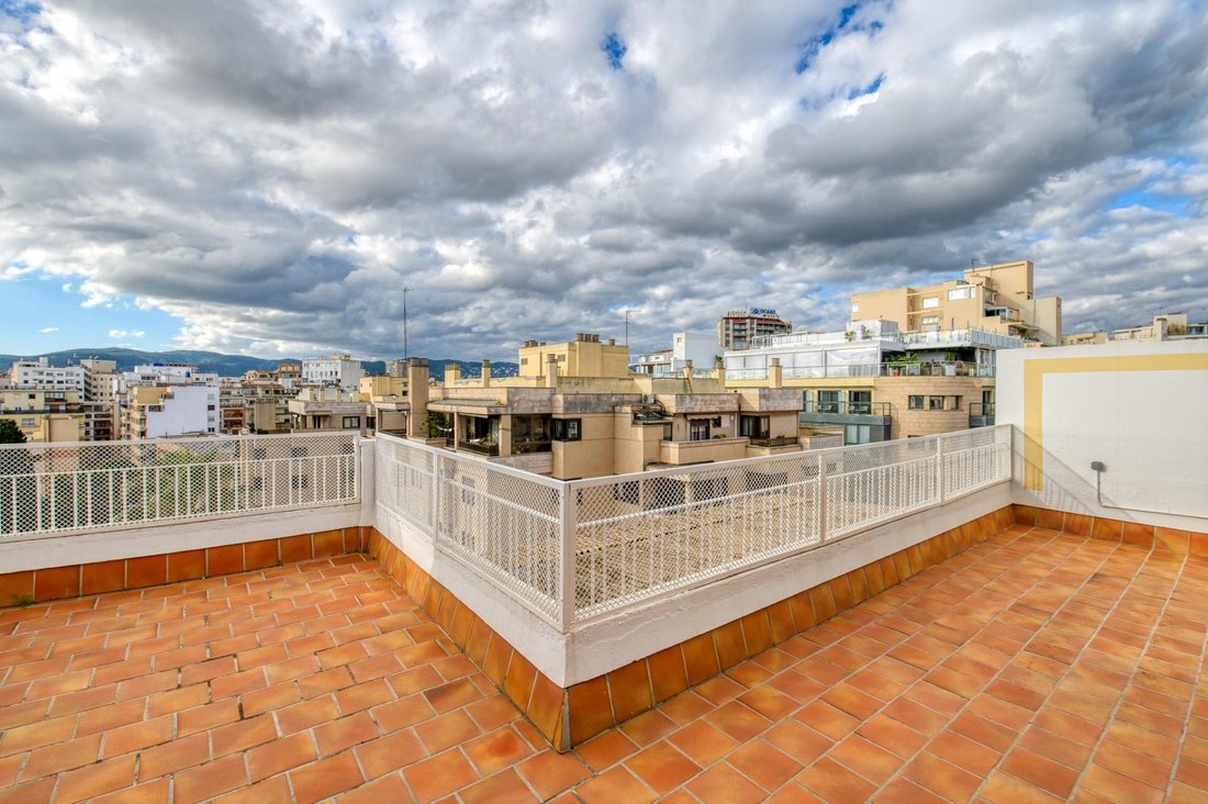 Apartment in Palma, Balearic Islands, Spain 4 - 16902859