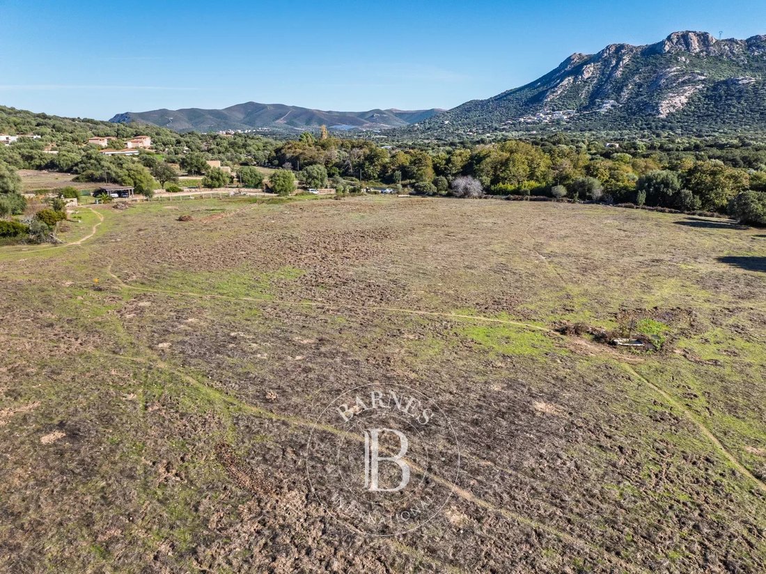 Land in L'Île-Rousse, Corsica, France 1 - 16898805