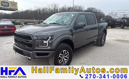 2017 Ford F150 SuperCrew Cab Raptor Pickup 4D 5 1/2 ft in Maceo, KY, United States 1