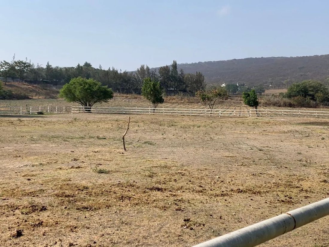 Farm Ranch in San Isidro Mazatepec, Jalisco, Mexico 4 - 16901831