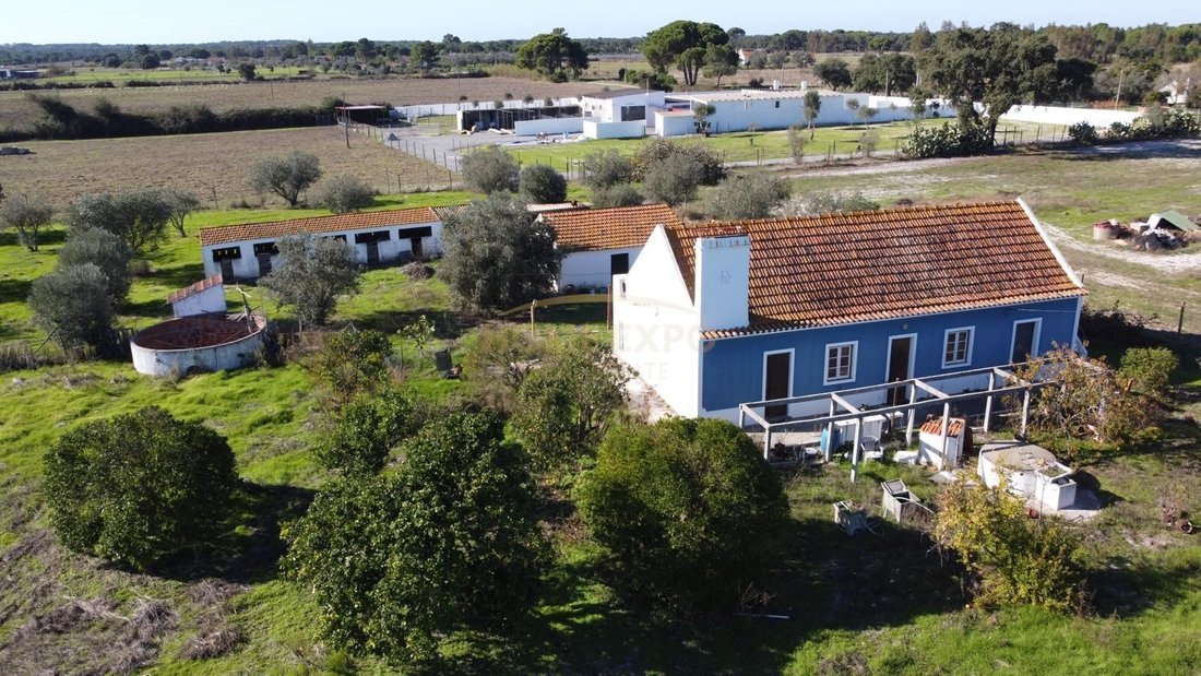 Farm Ranch in Grandola e Santa Margarida da Serra, Setubal, Portugal 5 - 16904300
