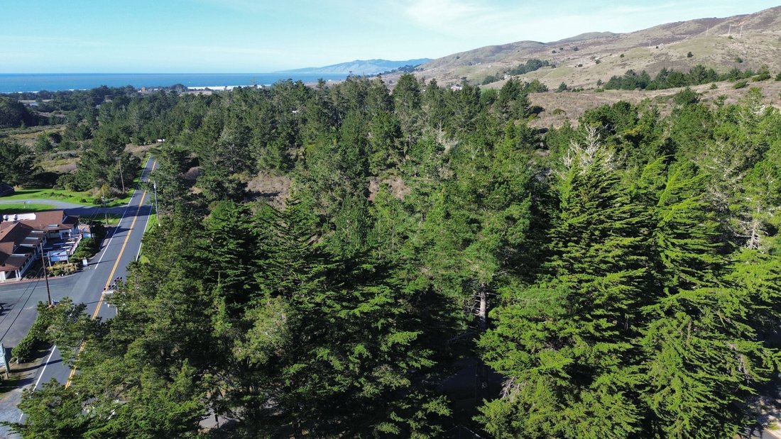 Land in Bodega Bay, California, United States 1 - 16914520