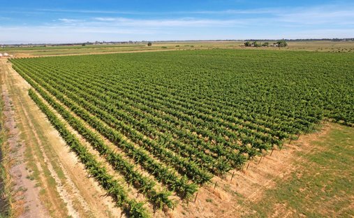 Farm Ranch in Walnut Grove, Kalifornien, Vereinigte Staaten 1