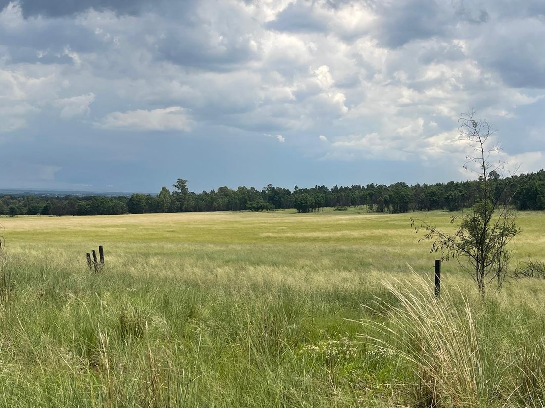 Farm Ranch in Bapsfontein, Gauteng, South Africa 4 - 16911731