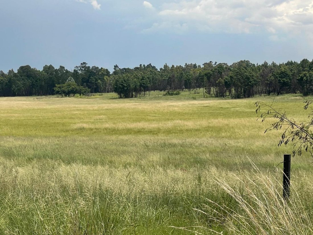 Farm Ranch in Bapsfontein, Gauteng, South Africa 2 - 16911731