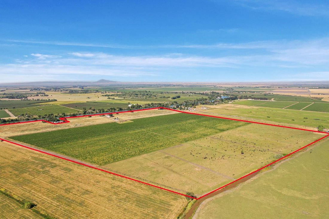 Farm Ranch in Walnut Grove, California, United States 5 - 16914069