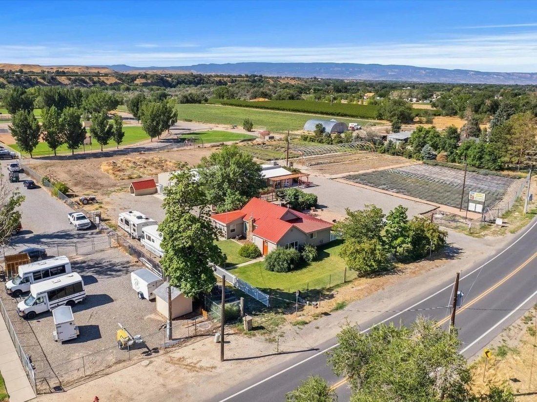 House in Palisade, Colorado, United States 4 - 16904539