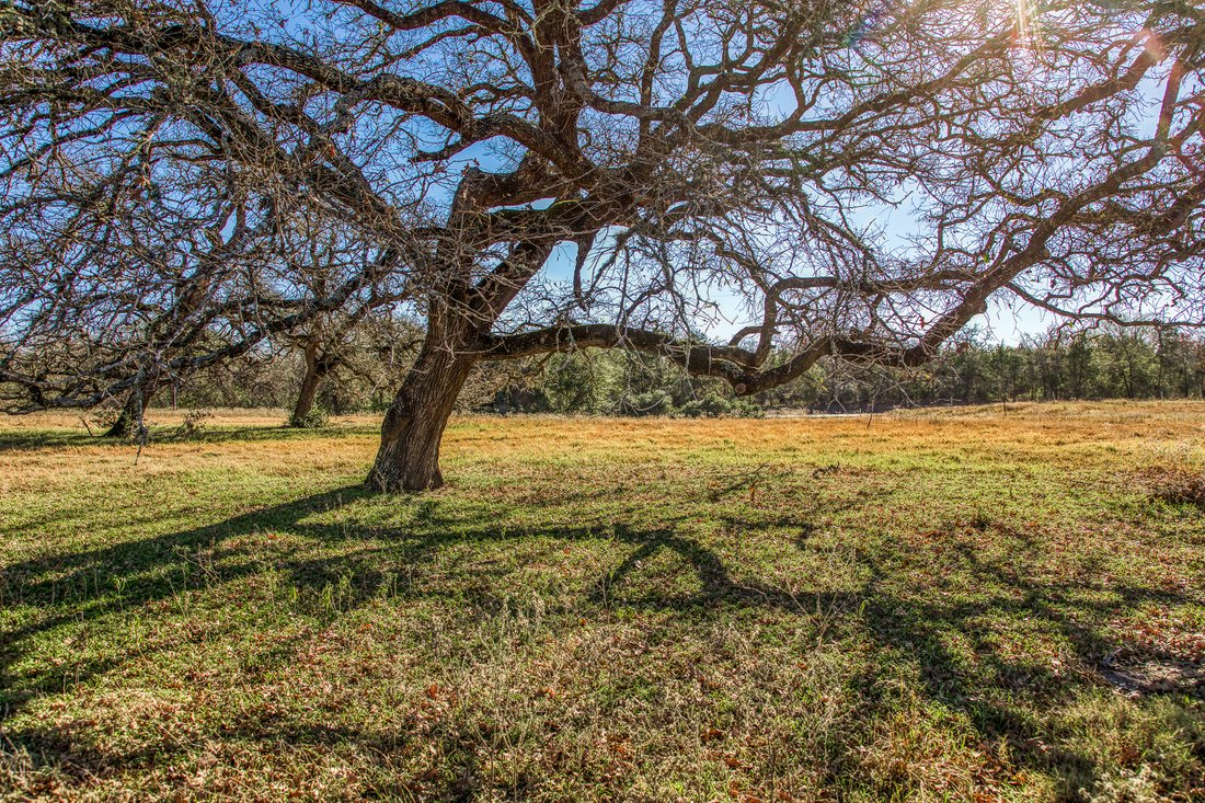 Burton, Texas, United States 2 - 16914279