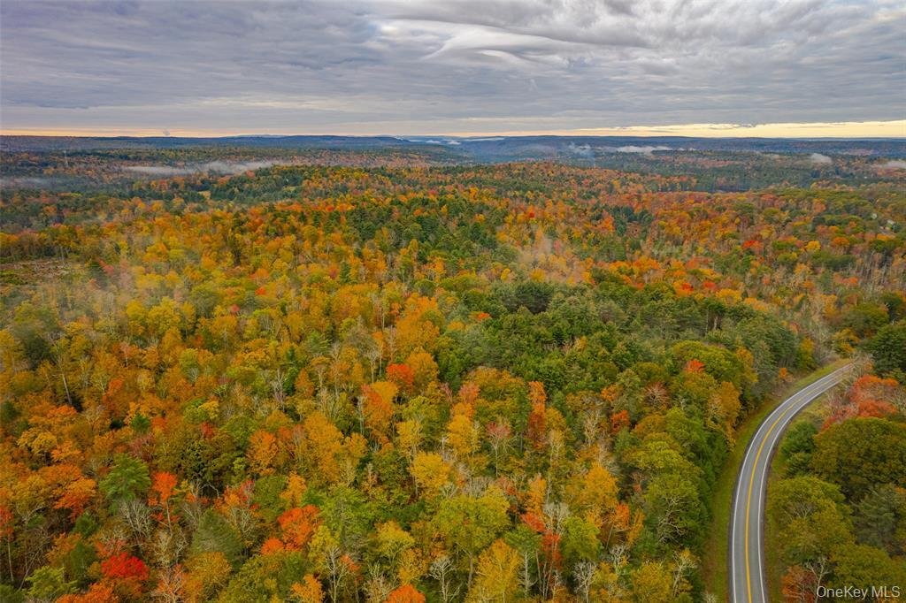 Land in Forestburgh, New York, United States 2 - 16910500