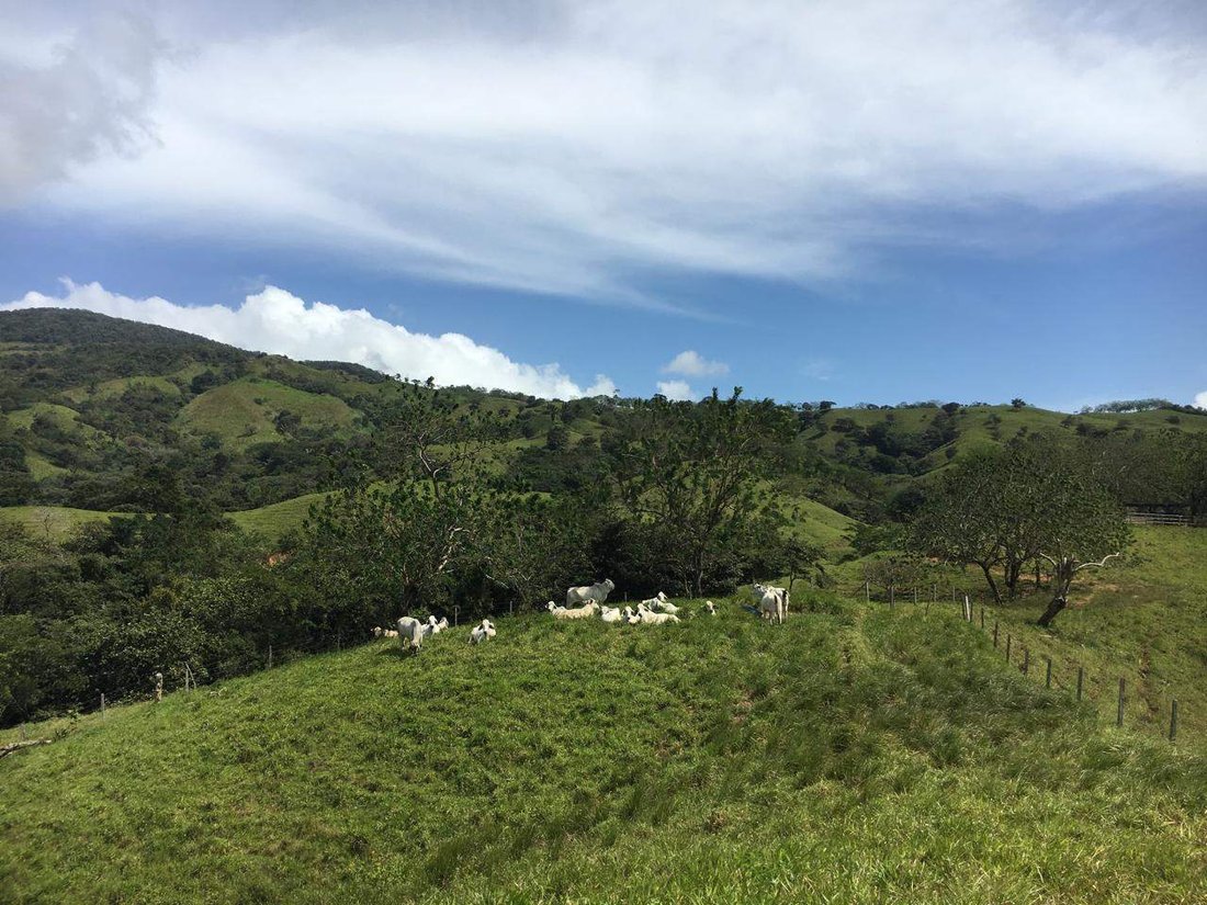 Land in Pacora, Panama, Panama 2 - 16907332