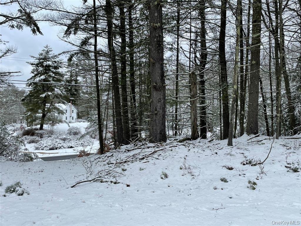 Land in Forestburgh, New York, United States 3 - 16910500