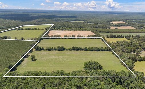 Land in High Springs, Florida, United States 1