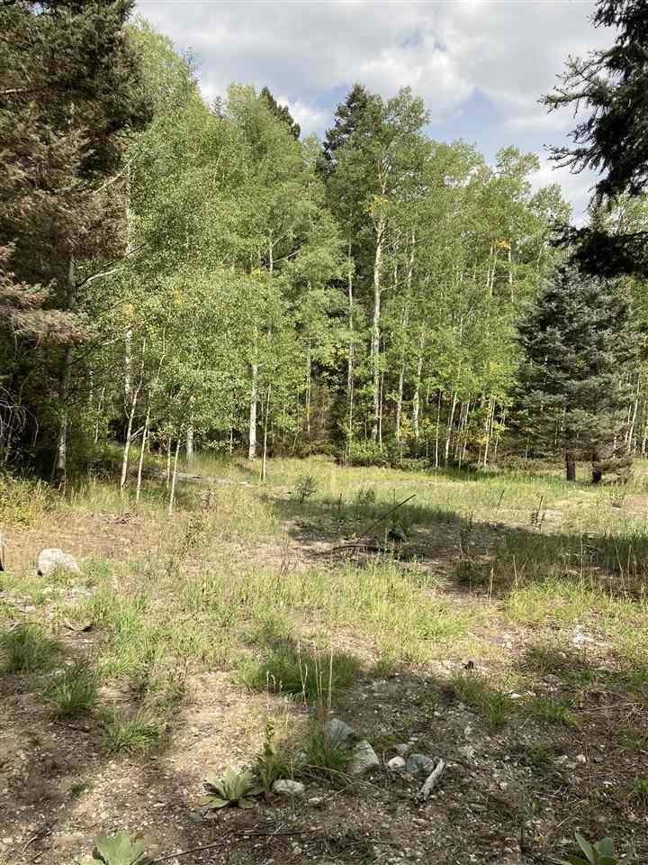 Land in New Waverly, Texas, United States 4 - 16911591