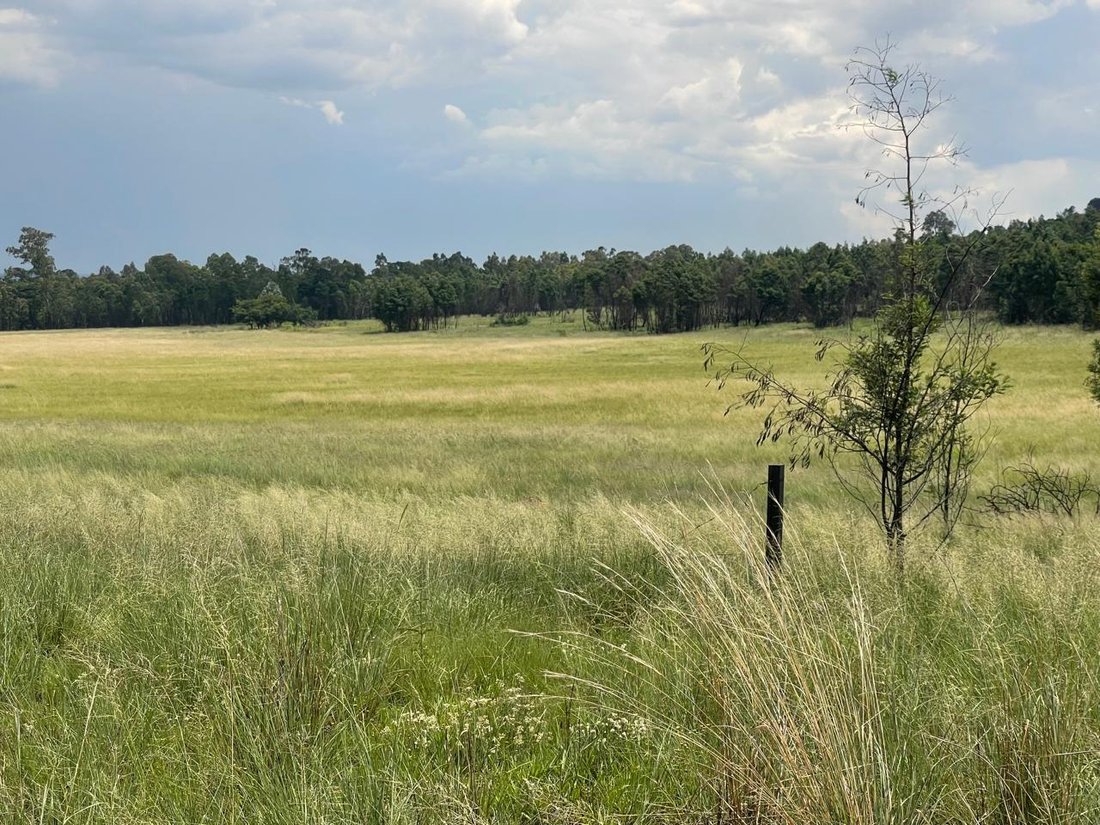 Farm Ranch in Bapsfontein, Gauteng, South Africa 3 - 16911731