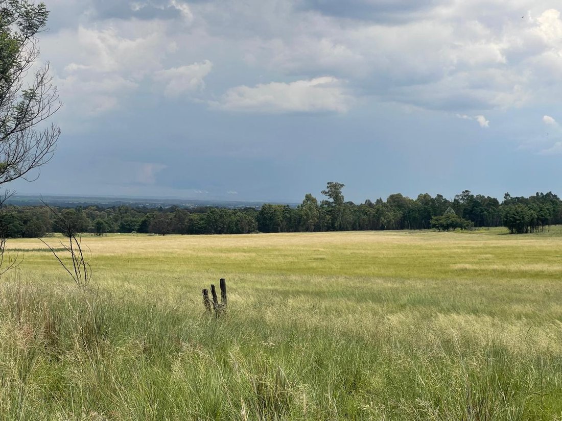 Farm Ranch in Bapsfontein, Gauteng, South Africa 1 - 16911731