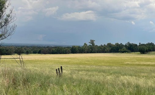 Farm Ranch in Bapsfontein, Gauteng, South Africa 1
