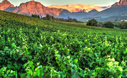 Farm Ranch in Stellenbosch, Western Cape, South Africa 1