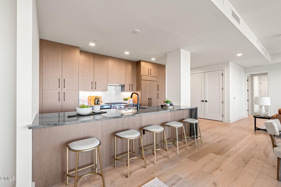 Condo in Durham, North Carolina, United States 5 - 16895403