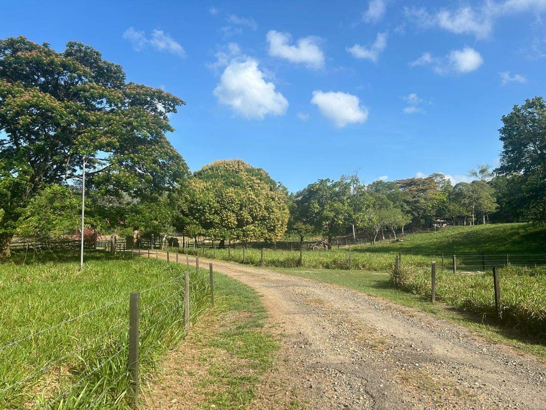 Land in Pacora, Panama, Panama 5 - 16907332