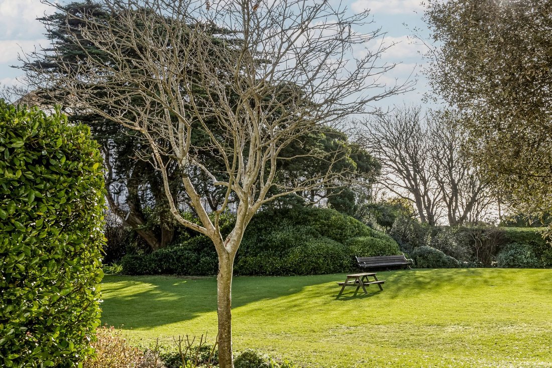Apartment in Kemptown, England 3 - 16910586