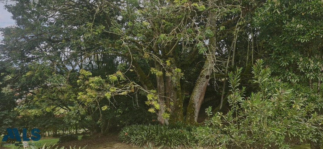 Finca in El Carmen de Viboral, Antioquia, Colombia 5 - 16910429