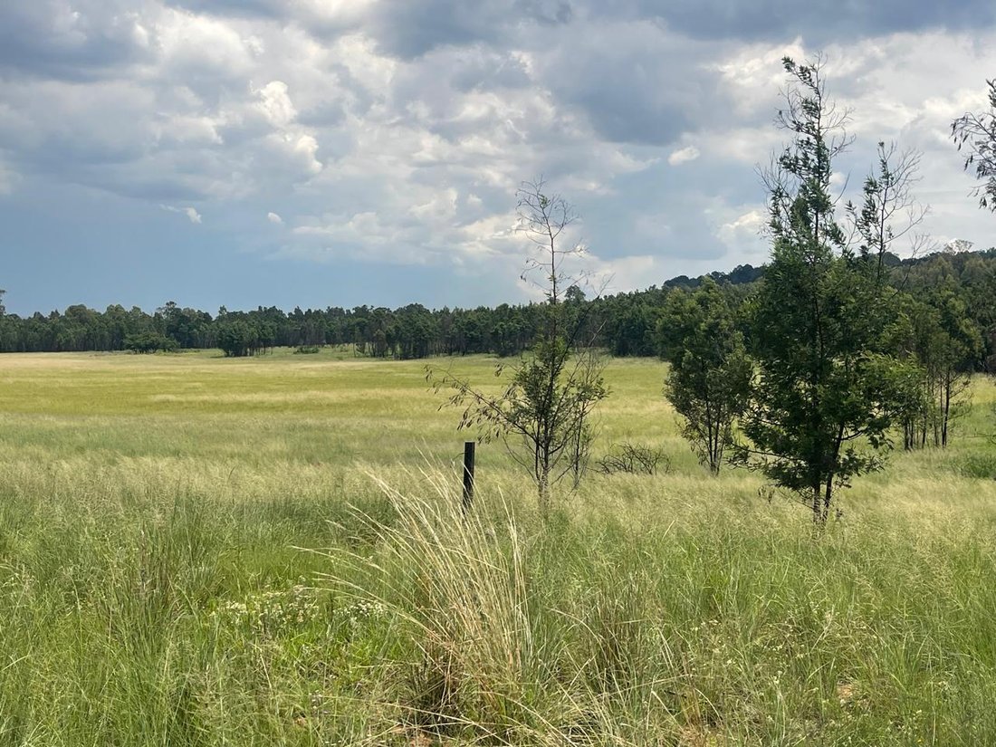 Farm Ranch in Bapsfontein, Gauteng, South Africa 5 - 16911731