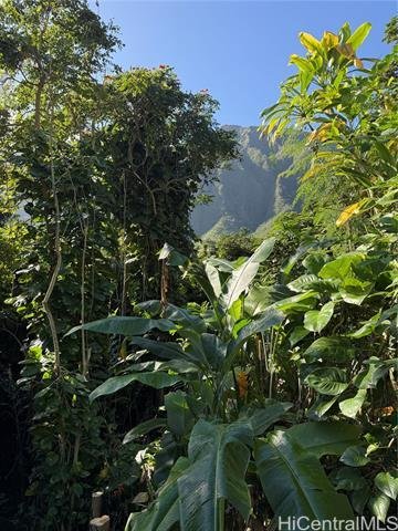 House in Kaneohe, Hawaii, United States 2 - 16905925