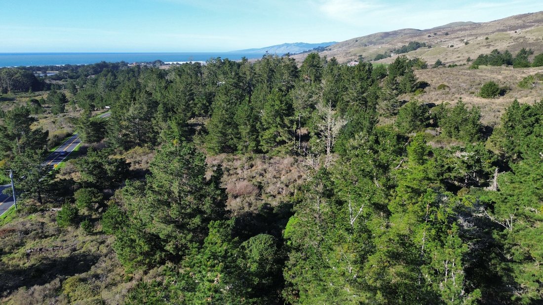 Land in Bodega Bay, California, United States 2 - 16914520