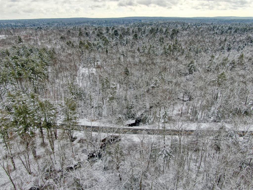 Land in Forestburgh, New York, United States 5 - 16910500