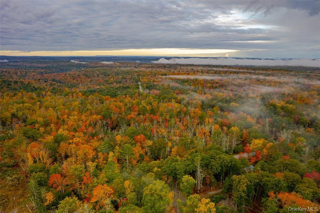 Land in Forestburgh, New York, United States 4 - 16910500