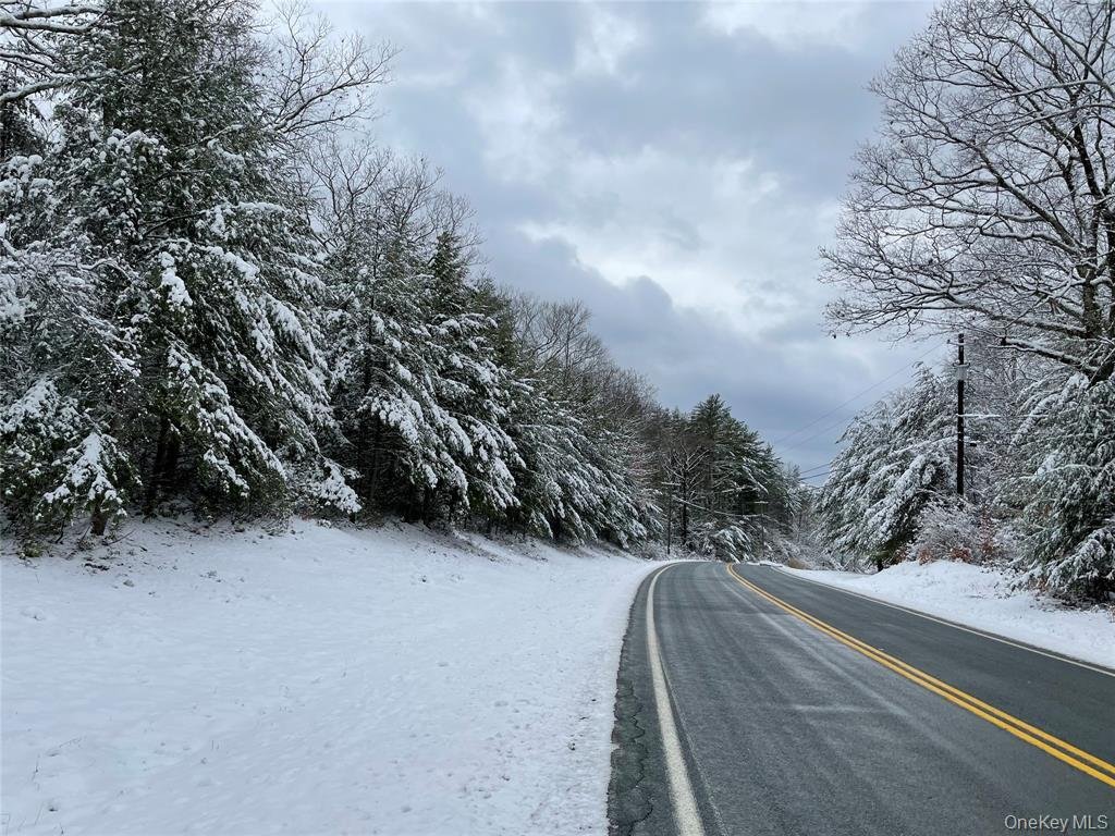 Land in Forestburgh, New York, United States 1 - 16910500