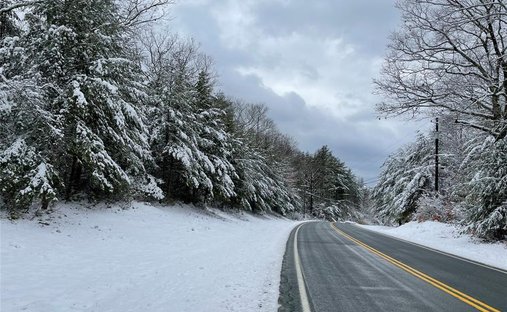 Land in Forestburgh, New York, United States 1