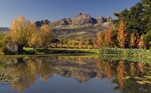 Farm Ranch in Stellenbosch, Western Cape, South Africa 1