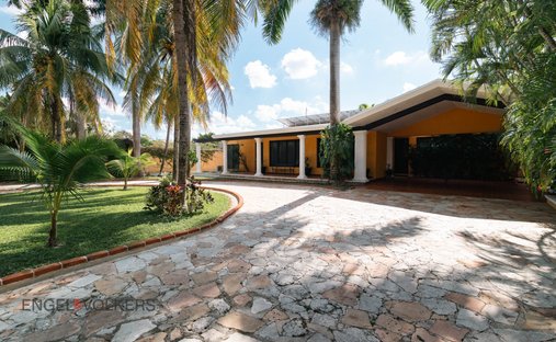 House in Mérida, Yucatan, Mexico 1
