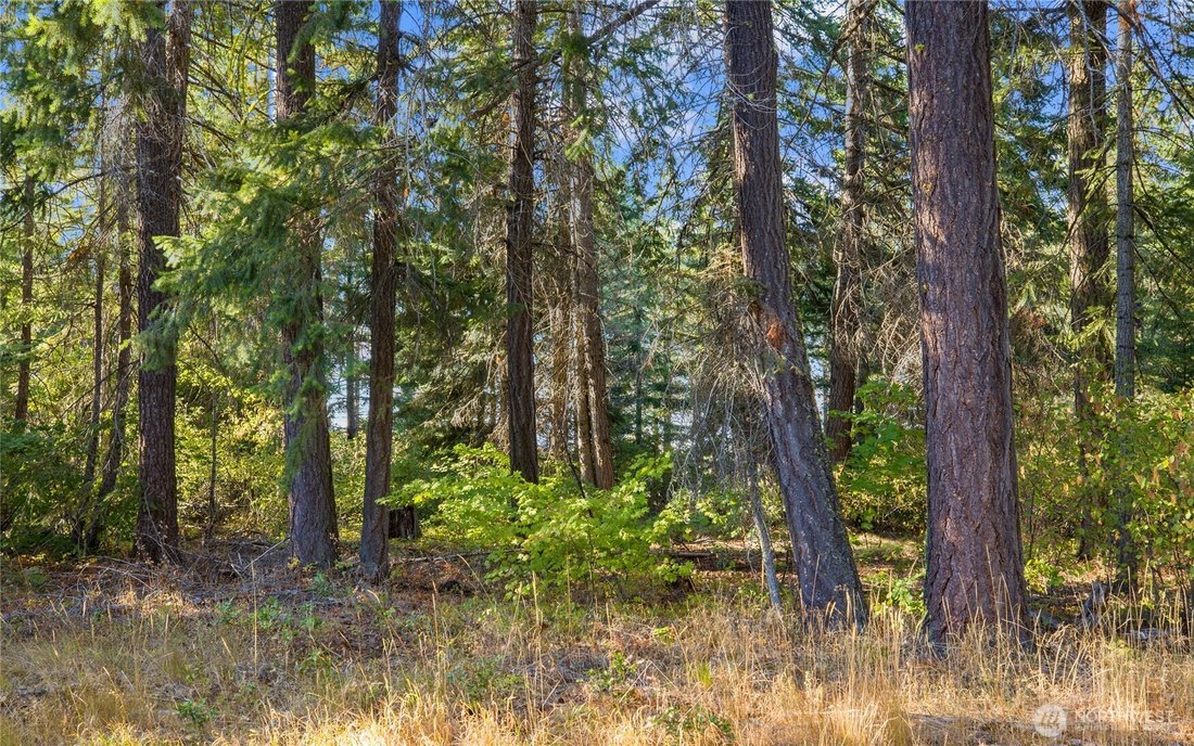 Land in Cle Elum, Washington, United States 2 - 16911593