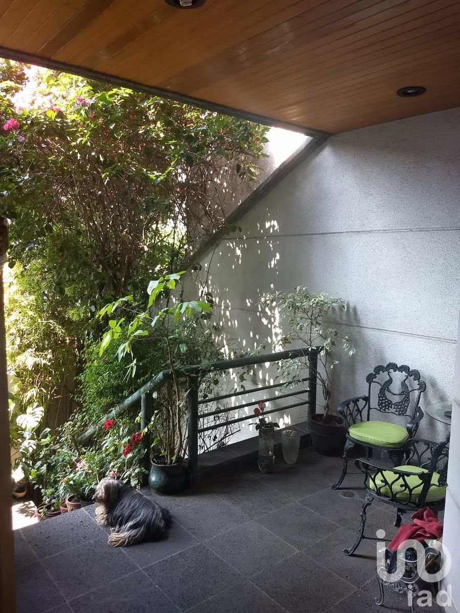 Haus in Mexico City, Mexiko 5 - 16910442
