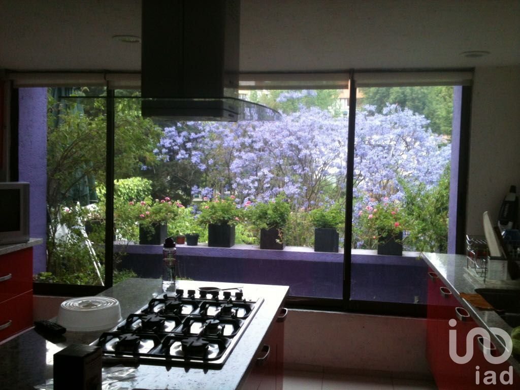 House in Mexico City, Mexico 3 - 16910445