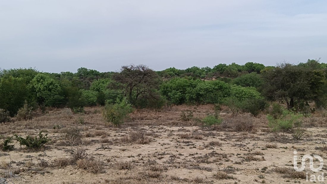 Land in La Providencia, Nuevo Leon, Mexico 5 - 16910441